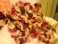 /album/creations/photo-0413-jpg1/